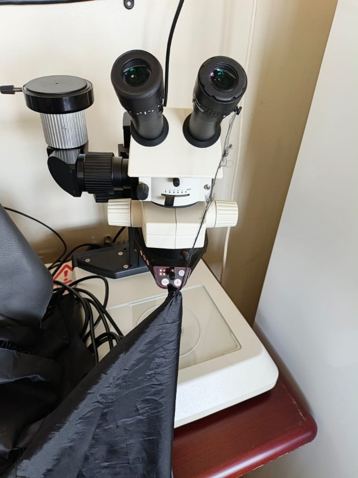 Specialised Lab Equipment Maintenance