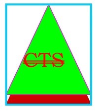Complex Technical Services Logo